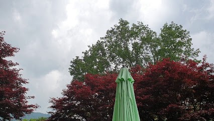 SAS Delmas Philippe, Marchand de Journaux à Vic-sur-Cère